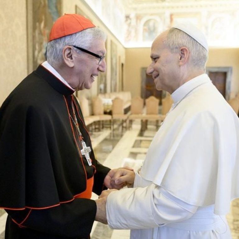 Cardenal-Castillo-Papa-LeonXIV-febrero-2026